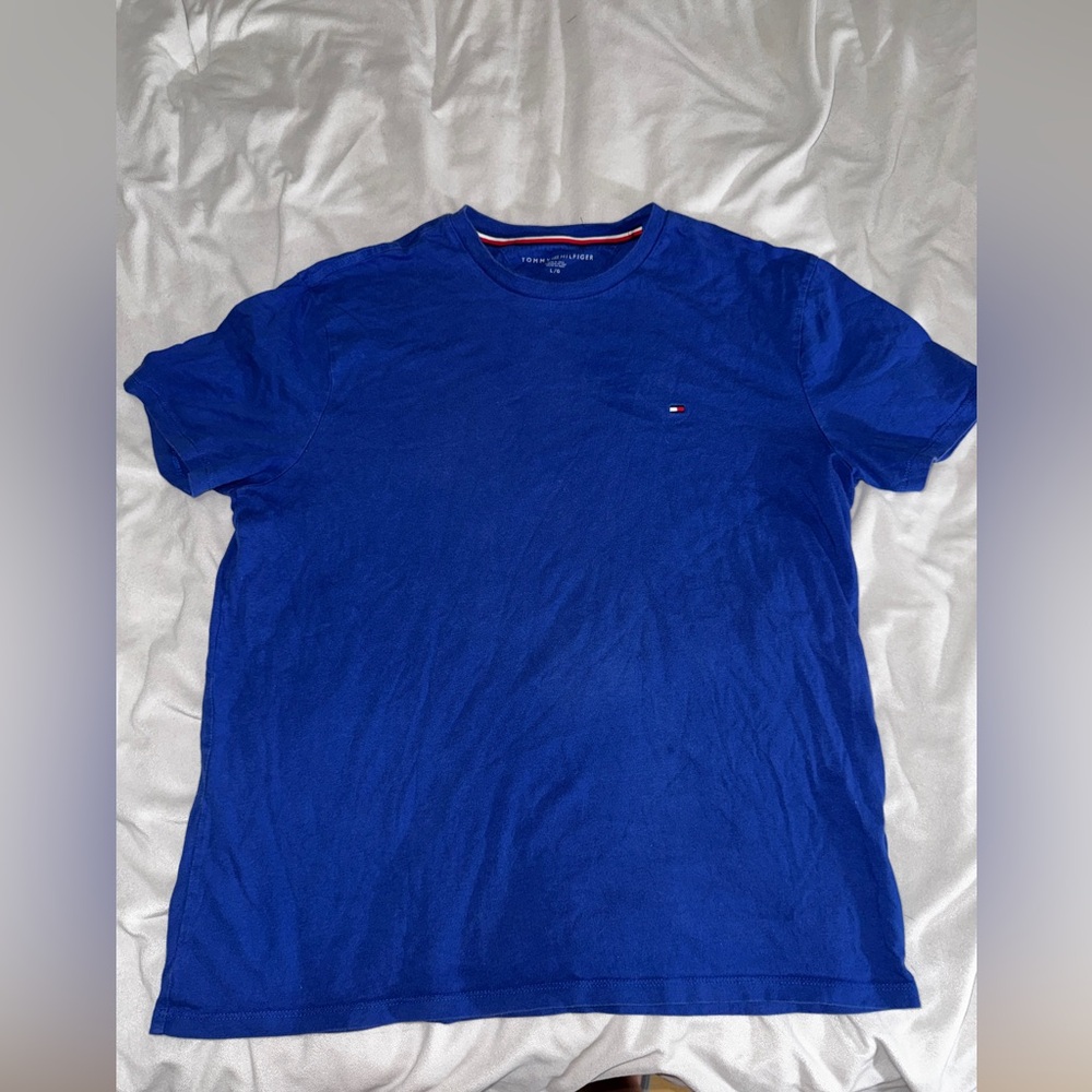 Tommy Hilfiger Men's Vibrant Blue Tee